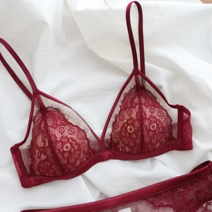 Conjunto de sutiã francês ultrafino de renda para mulheres, copa triangular sensual sem anel de aço, sutiã fino, coleta de seios pequenos - Imagem 7