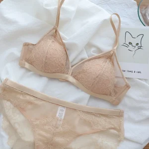 Conjunto de sutiã francês ultrafino de renda para mulheres, copa triangular sensual sem anel de aço, sutiã fino, coleta de seios pequenos - Imagem 6